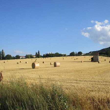 Il Risveglio Dei Sensi Villa Fossato di Vico Exterior photo